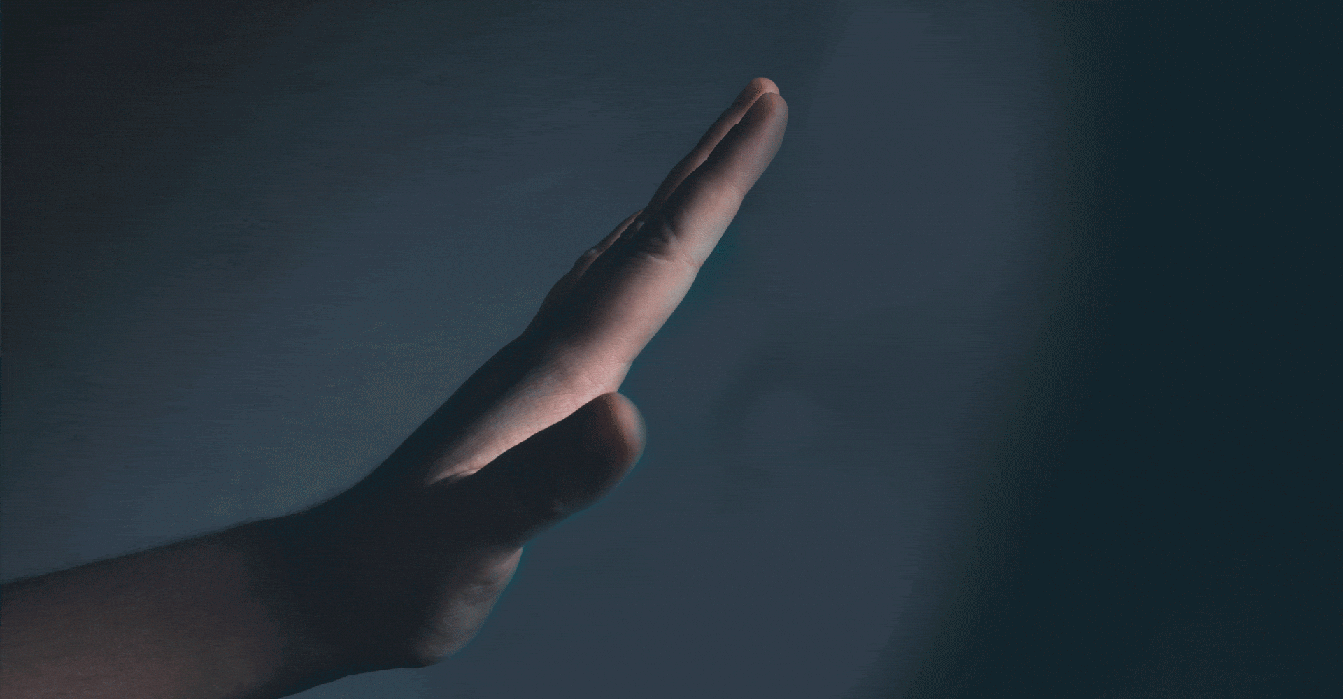 3-IN-1 Palm Recognition
