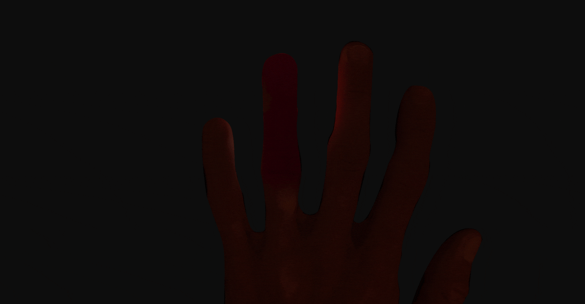 Finger Vein Recognition