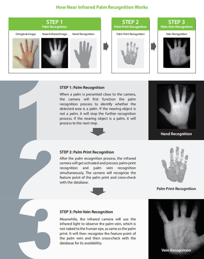 Principle of Access Control & T&A with Near-Infrared Palm Recognition (ZKPalm12.0) Principle of Access Control & T&A with Near-Infrared Palm Recognition (ZKPalm12.0)