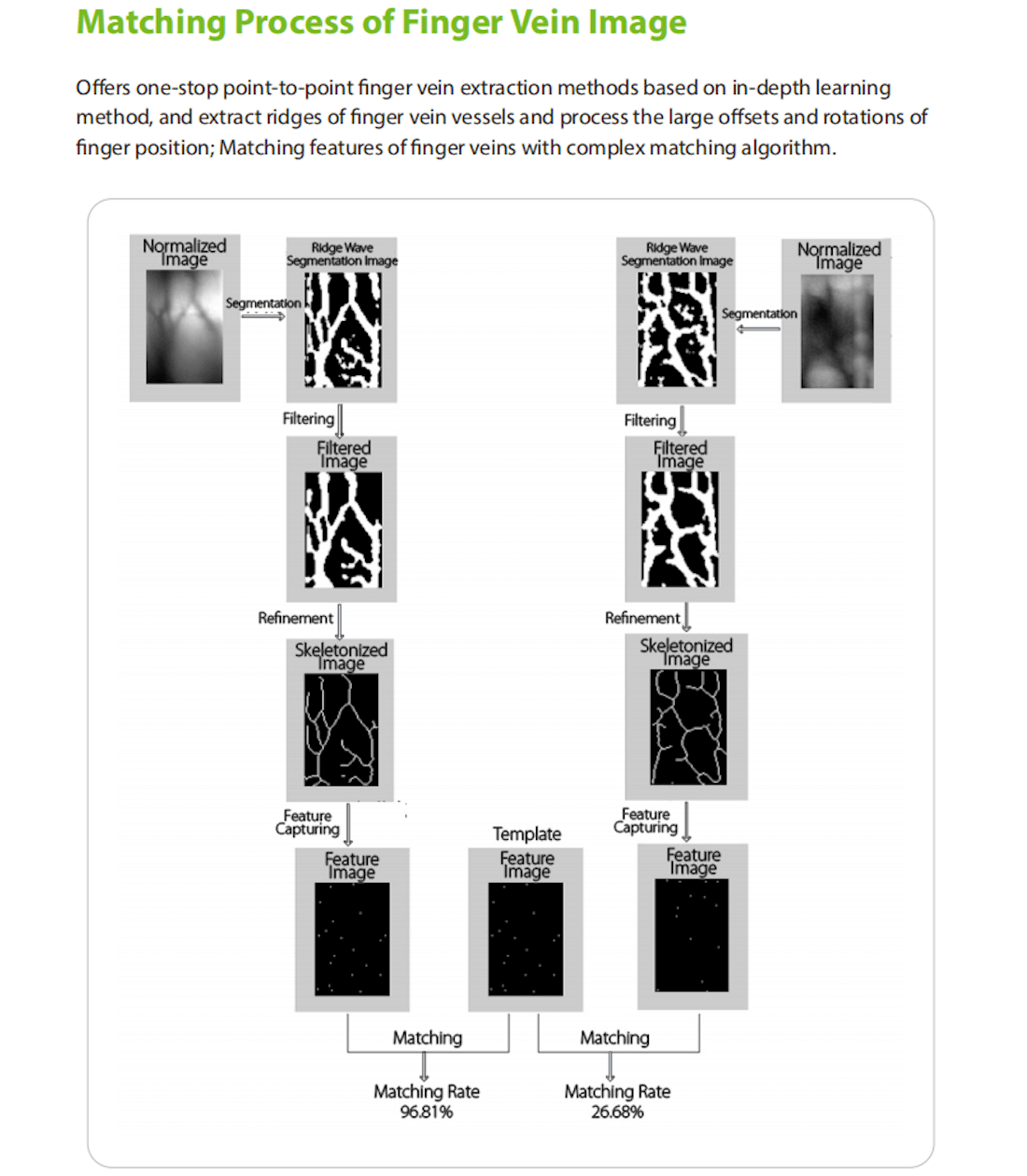 ZKTeco College- Fundamental of Finger Vein Recognition
