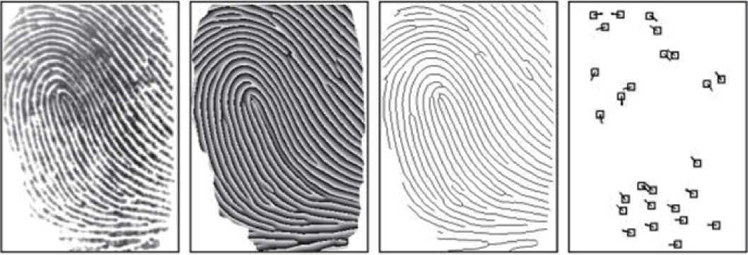 ZKTeco College- Fundamental of Fingerprint Recognition