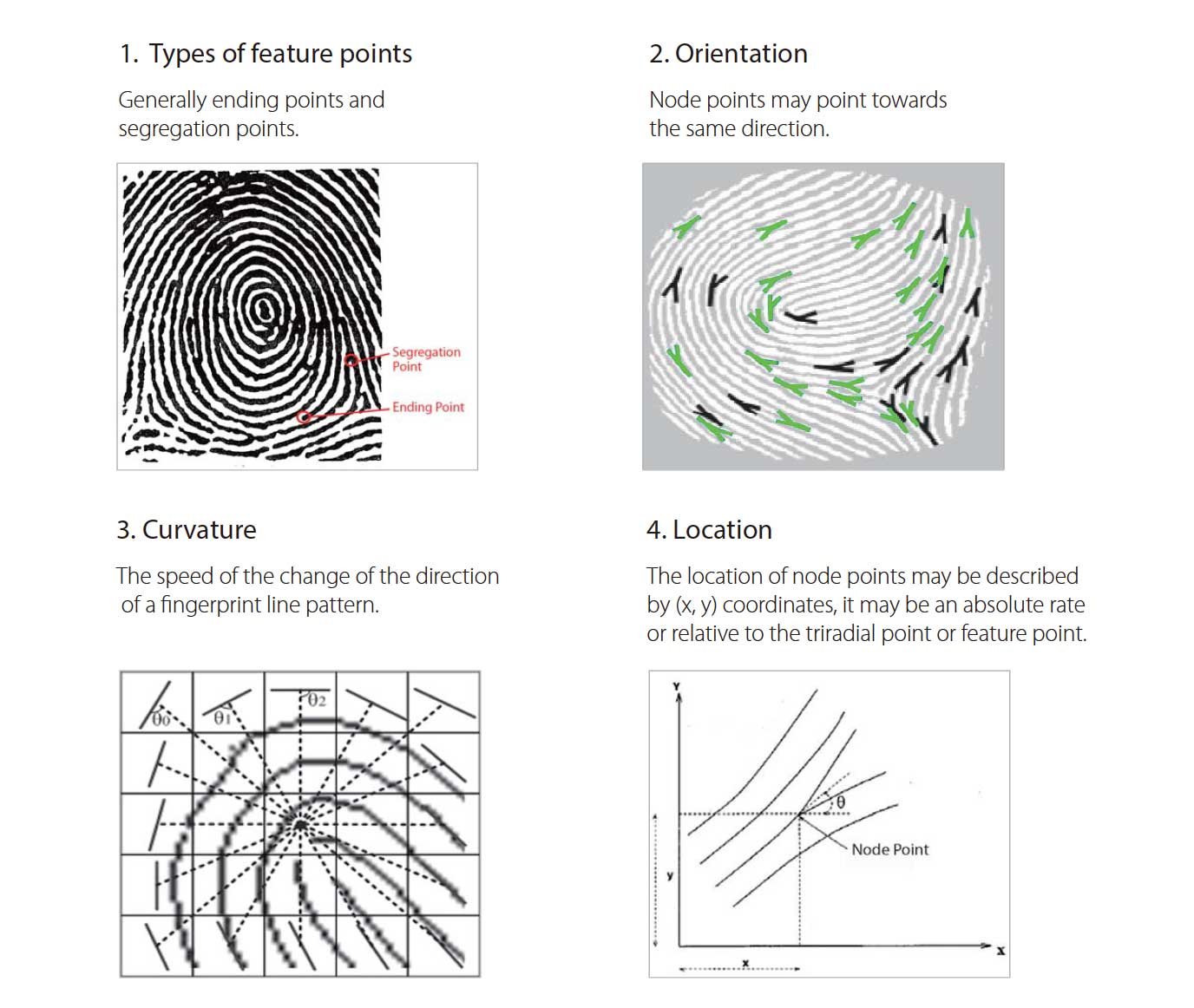 ZKTeco College- Fundamental of Fingerprint Recognition