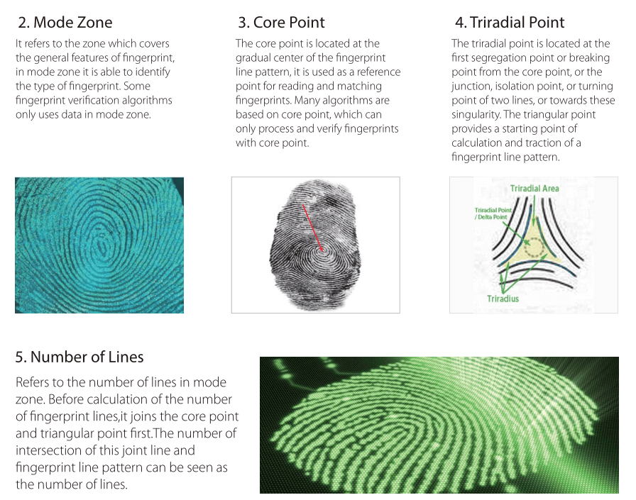 ZKTeco College- Fundamental of Fingerprint Recognition