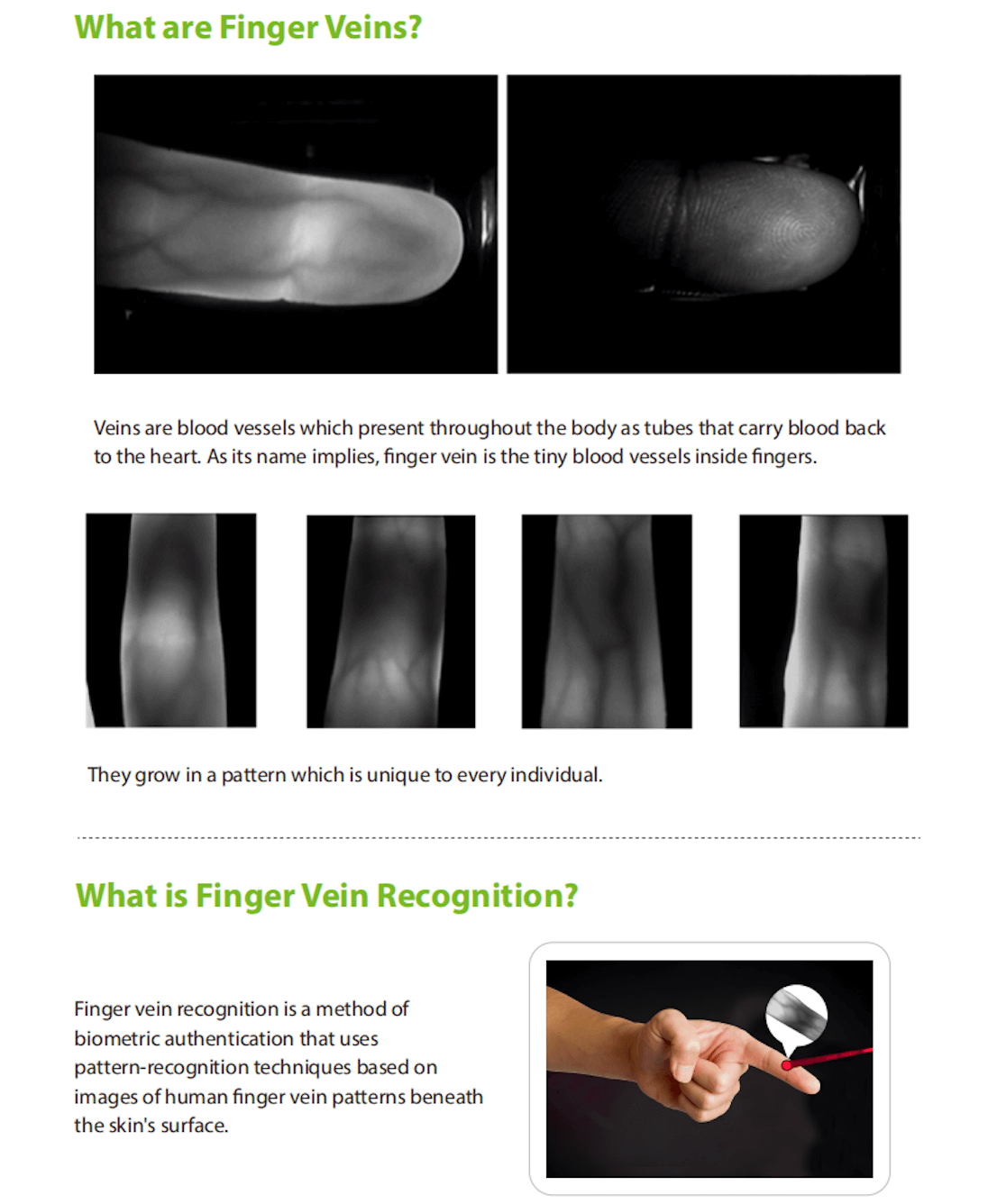 ZKTeco College- Fundamental of Finger Vein Recognition