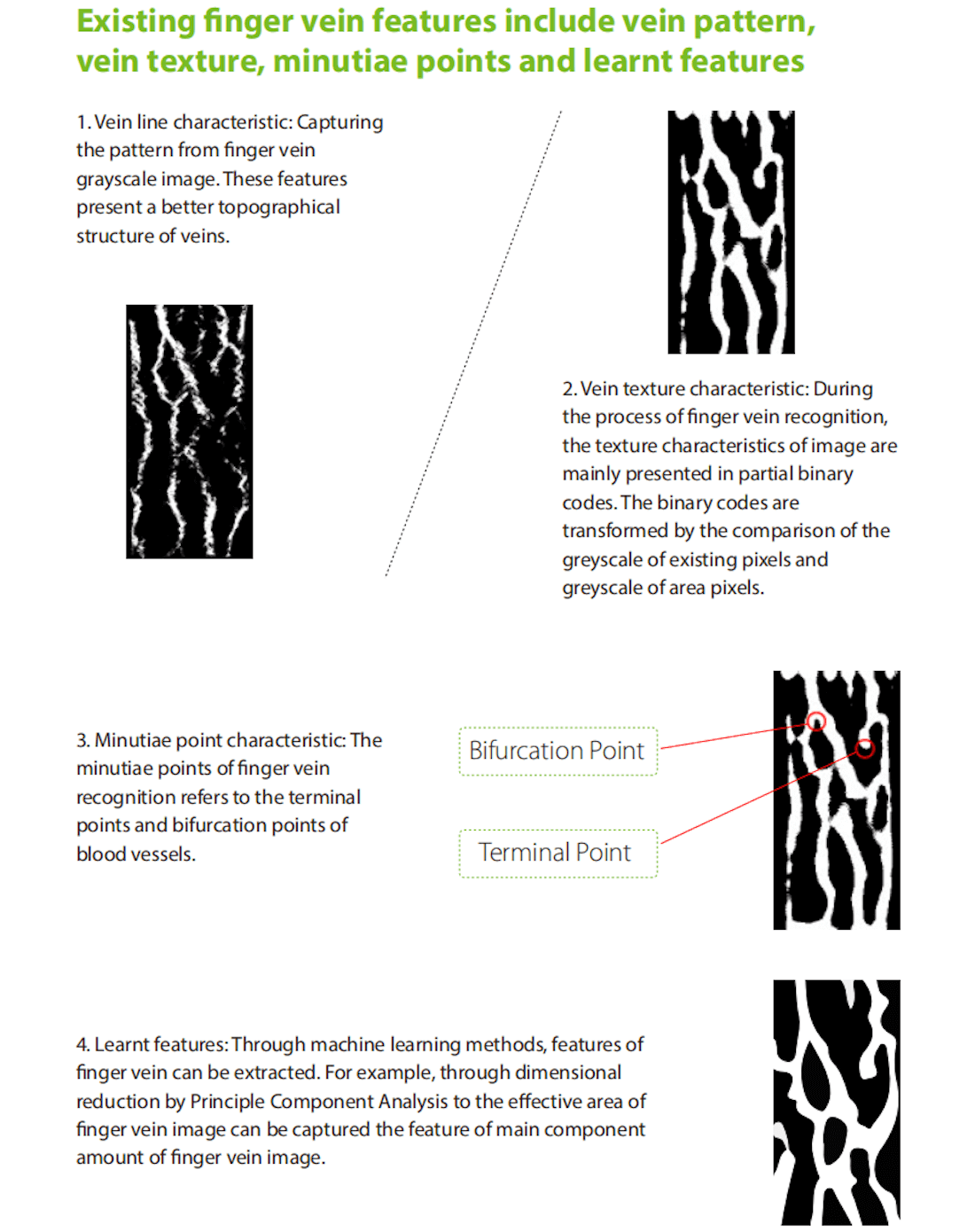 ZKTeco College- Fundamental of Finger Vein Recognition
