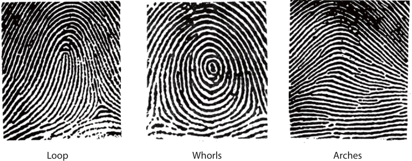 ZKTeco College- Fundamental of Fingerprint Recognition