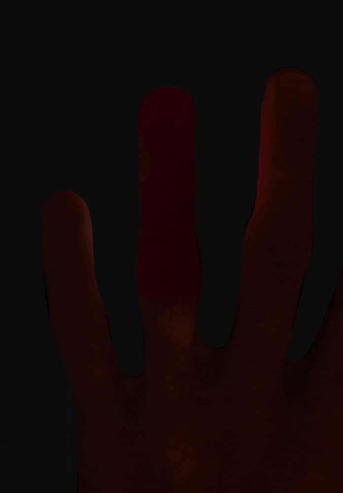 Finger Vein Recognition