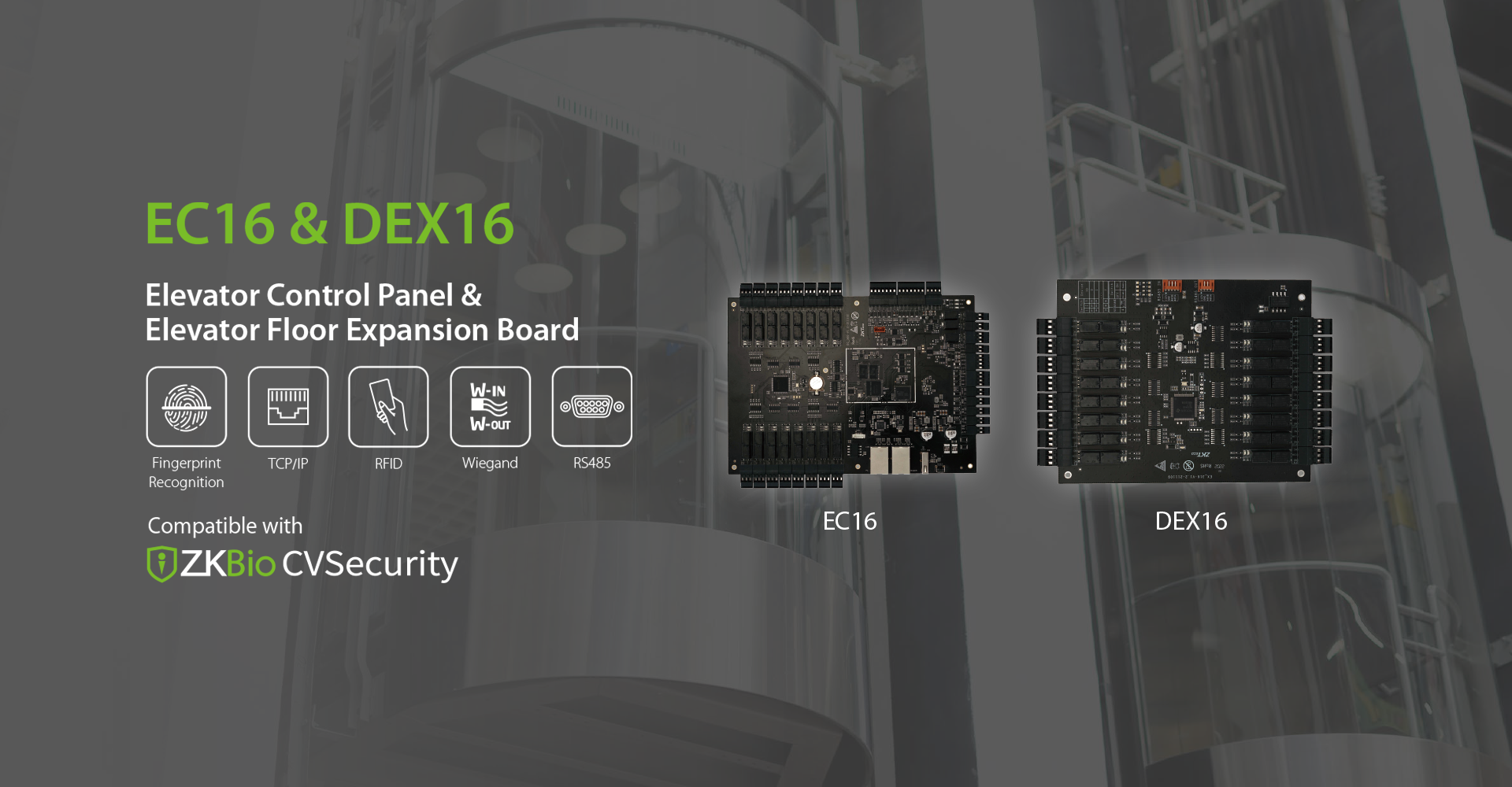 EC 16 & DEX 16.png