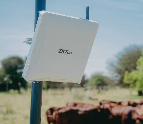 ZKTeco Solutions de lecture longue distance qui donnent du pouvoir à un prestataire réputé de solutions de gestion du bétail pour une gestion intelligente du bétail