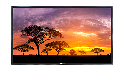 ZD65-4K-P