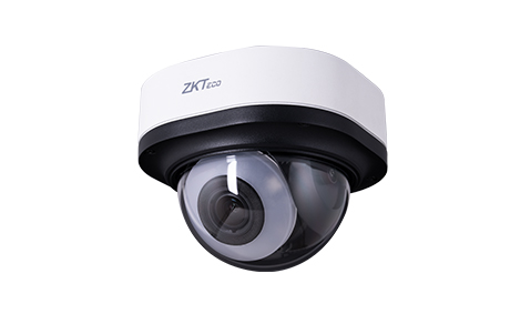 DL-855P38B-S8-S-FHL